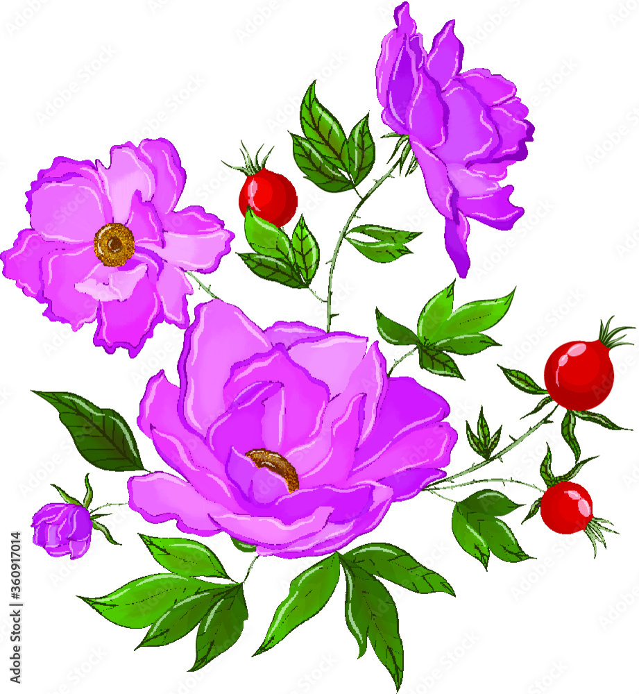 flowering rose hips with berries