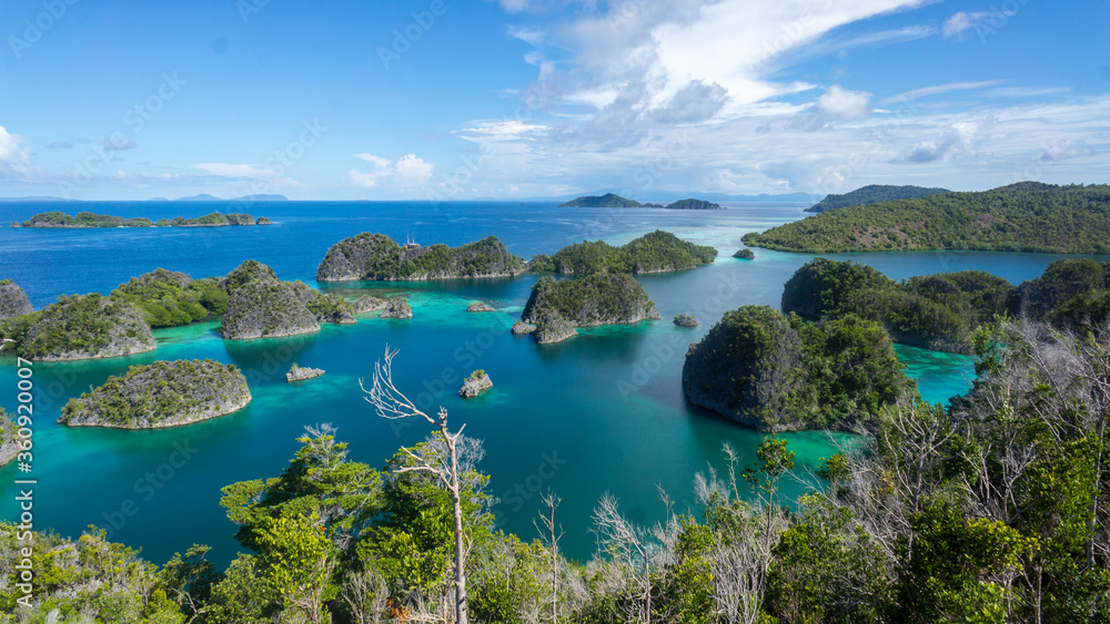The serene beauty of the Fam islands. Raja Ampat (Indonesia)