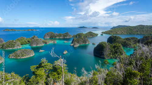 Fototapeta Naklejka Na Ścianę i Meble -  The serene beauty of the Fam islands. Raja Ampat (Indonesia)