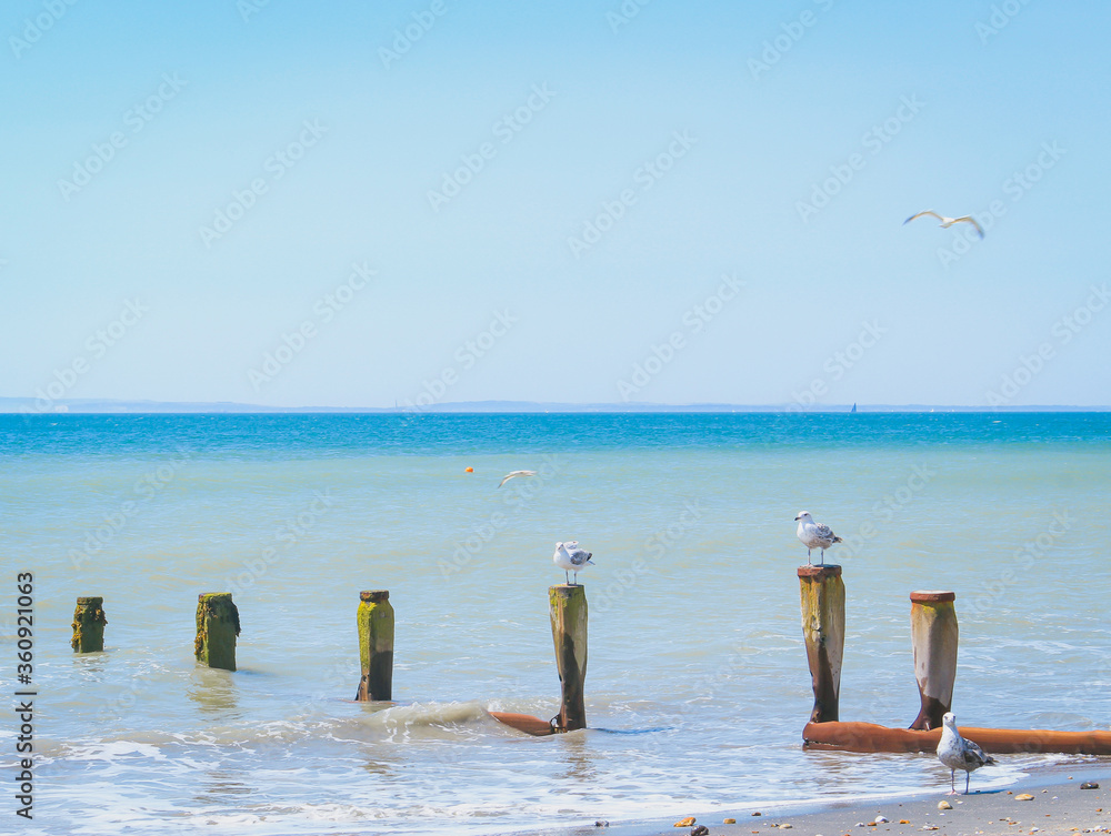 Morning summer beach with blue water and clear blue sky, coloured pebbles on the beach sand, waves in the ocean, birds flying.