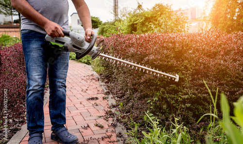 A gardener trimming shrub with hedge trimmer