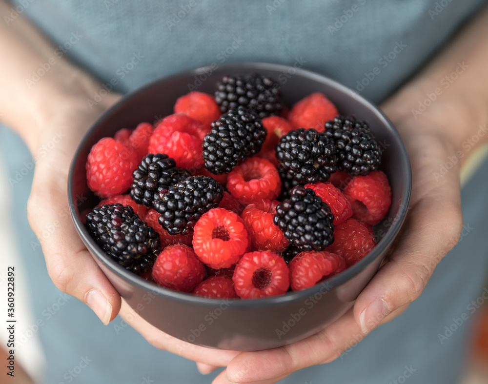 Female hands holding a bowl full of blackberries and raspberries. Female hands holding a bowl full of blackberries and raspberries.