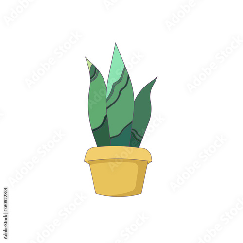 Indoor plant Sansevieria in a ceramic pot, outlined vector illustration on white isolated background, picture in Cartoon design style, concept of House Plants, Home Decor and Window Gardening, Nature.