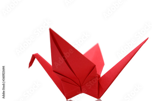 Photography origami red bird paper