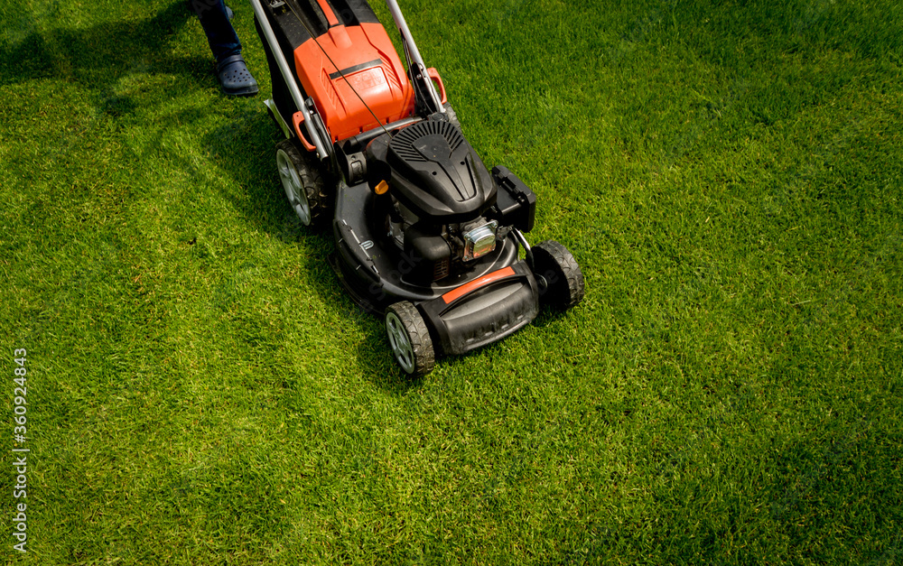 Lawn mower on green grass. Summer garden Lawn mower on green grass. Summer garden