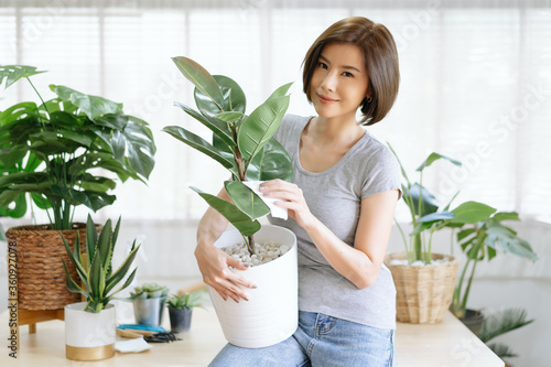 Portrait of young Asian woman smiling friendly holding flower pot with green plant house and looking at camera in living room. Concept of home garden. Taking care of home plants.