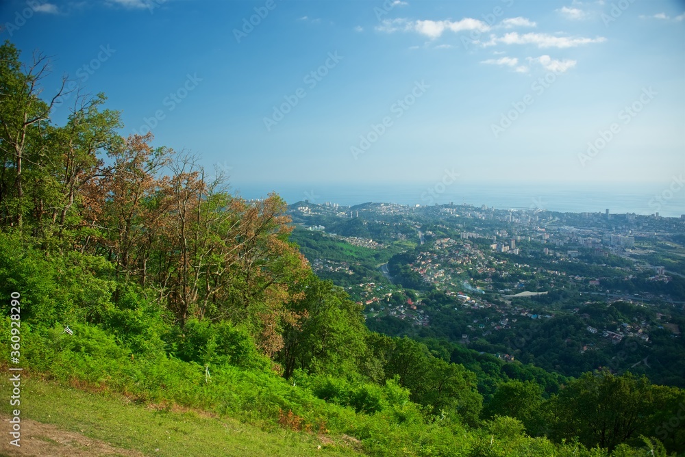 Panorama of the center of the coastal city from the top of the mountain. Forest on the slope. Lots of buildings and roads. Ships at sea. Summer evening.