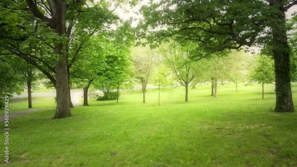 Smooth aerial pull-back through trees in a Philadelphia park in the springtime Smooth aerial pull-back through trees in a Philadelphia park in the springtime