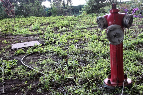 Una boca de incendio 