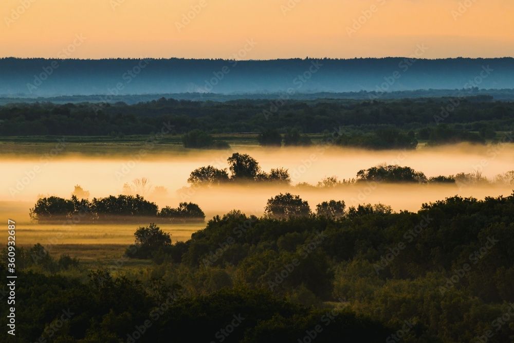 Mystical morning landscape with fog over a meadow with trees