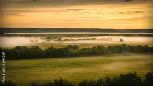 Mystical morning landscape with fog over a meadow with trees