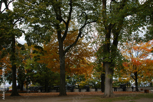 Park in fall