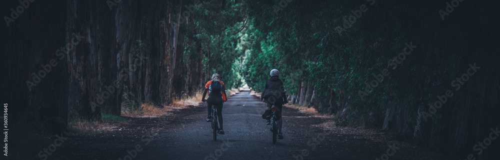 Two women riding bicycle among longer green trees Two women riding bicycle among longer green trees