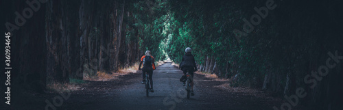 Two women riding bicycle among longer green trees