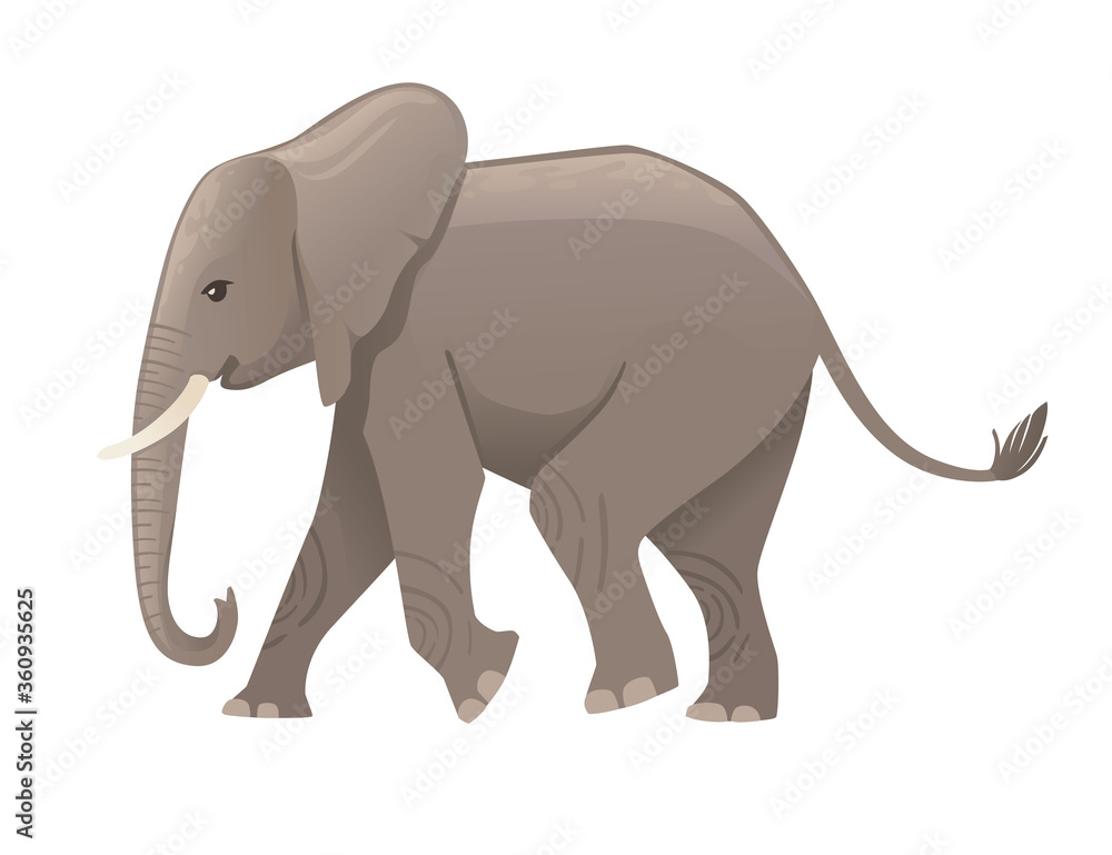 Cute adult elephant on the walk cartoon animal design flat vector illustration isolated on white background Cute adult elephant on the walk cartoon animal design flat vector illustration isolated on white background
