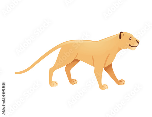 Adult lioness african wild predatory cat female lion cartoon cute animal design flat vector illustration isolated on white background