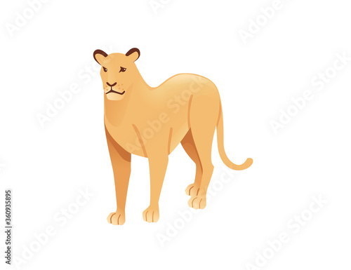 Adult lioness african wild predatory cat female lion cartoon cute animal design flat vector illustration isolated on white background