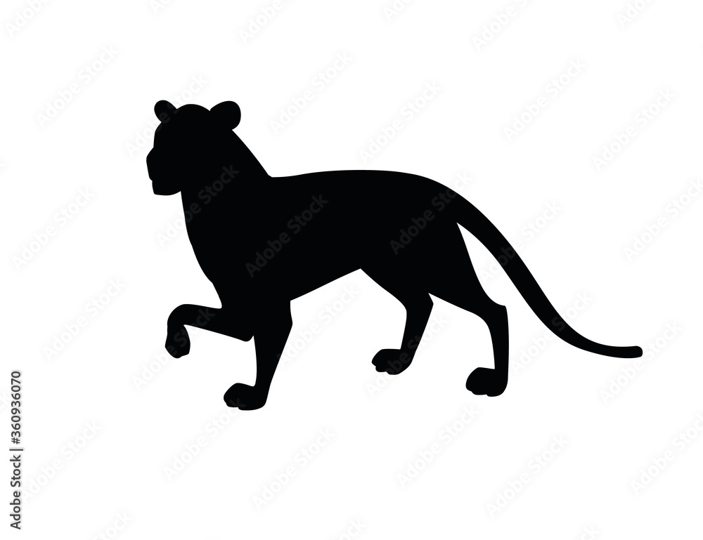 Black silhouette adult lioness african wild predatory cat female lion cartoon cute animal design flat vector illustration isolated on white background Black silhouette adult lioness african wild predatory cat female lion cartoon cute animal design flat vector illustration isolated on white background