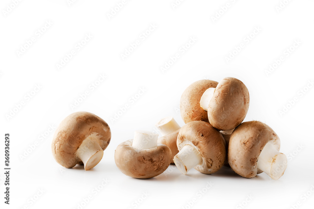 Royal mushrooms isolated on white background. Healthy food. Royal mushrooms isolated on white background. Healthy food.