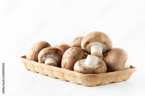 Royal mushrooms in eco-friendly paper packaging on white. Plastic free. Healthy food.