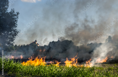 The grass burns in a meadow. Ecological catastrophy. Fire and smoke destroy all life.
