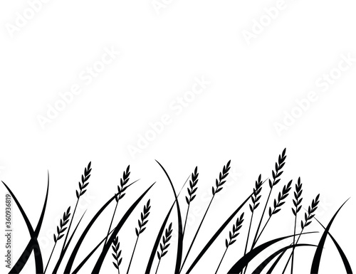 Black silhouette african savanna grass flat vector illustration on white background