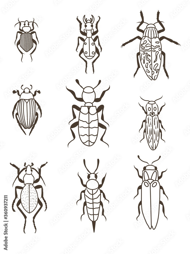 Set of bugs. Coloring page Set of bugs. Coloring page