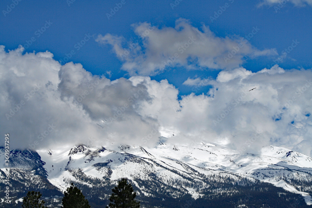 Mt. Shasta (CA 00329) Mt. Shasta (CA 00329)