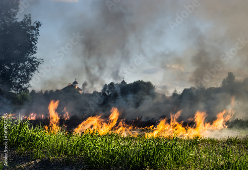 The grass burns in a meadow. Ecological catastrophy. Fire and smoke destroy all life. © baxys