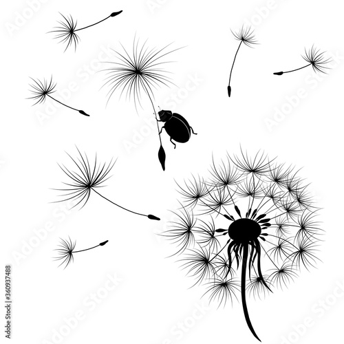 Abstract black dandelion with flying seeds illustration and ladybug. The wind blows the seeds of a dandelion. Silhouette of a dandelion with flying seeds and ladybug for textile  postcard  wallpapers.