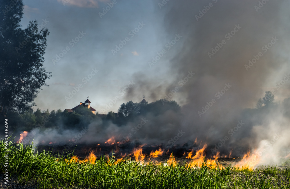 Fototapeta premium The grass burns in a meadow. Ecological catastrophy. Fire and smoke destroy all life.