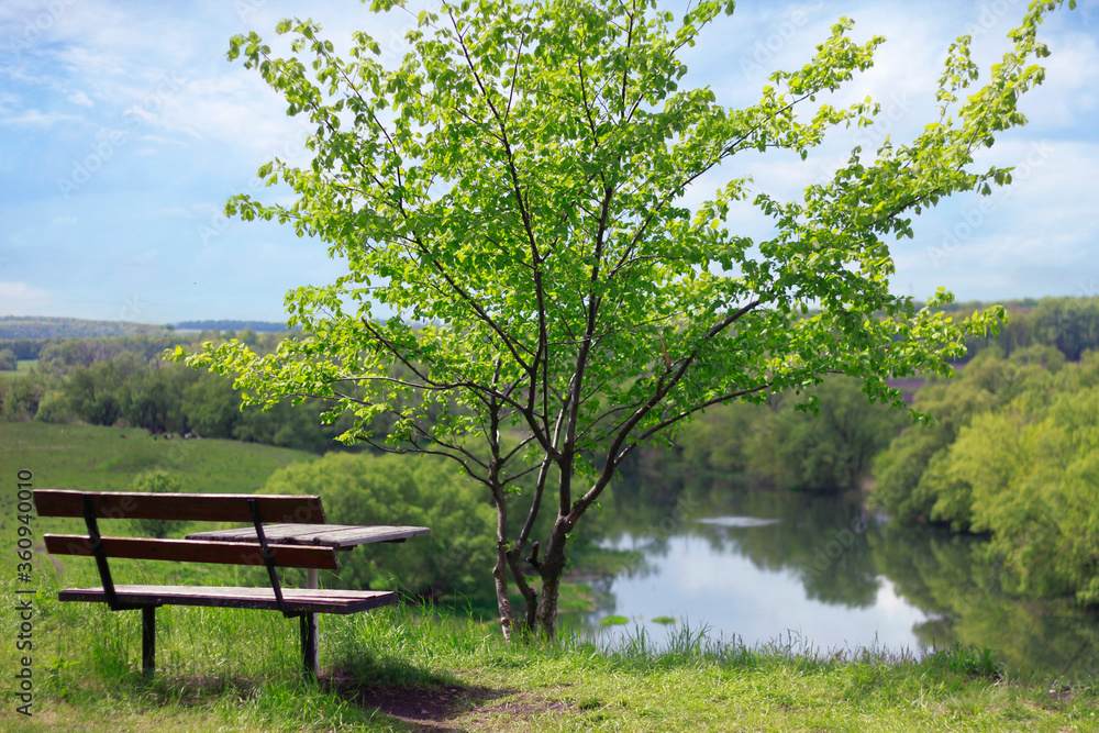 bench in the park