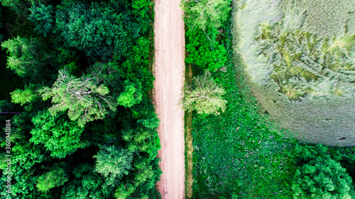 Top view of a country road through a spruce forest and a green field in summer. Flat lay.