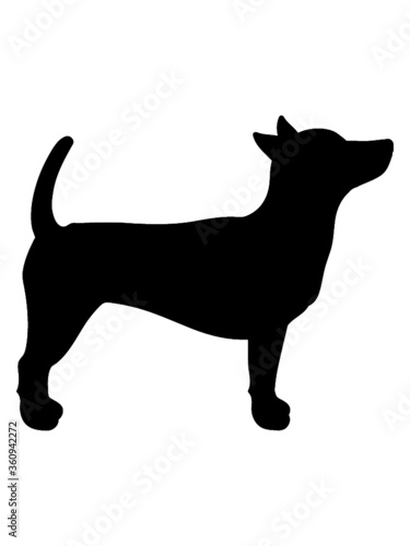 Silhouette Hund Umriss Schatten platz gehorsam rüde 