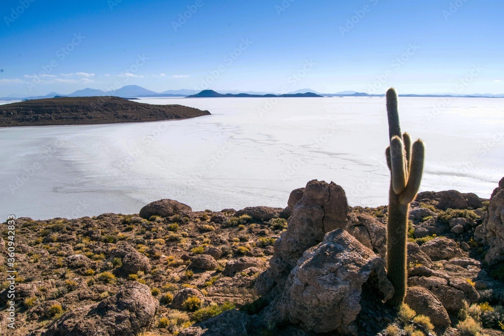 Island in the Salar de Uyuni. Island with cactus in the middle of the salt desert in Bolivia