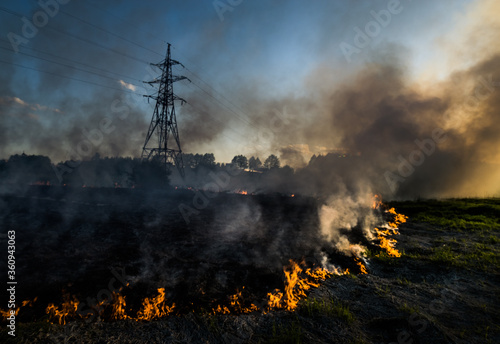 The grass burns in a meadow. Ecological catastrophy. Fire and smoke destroy all life.