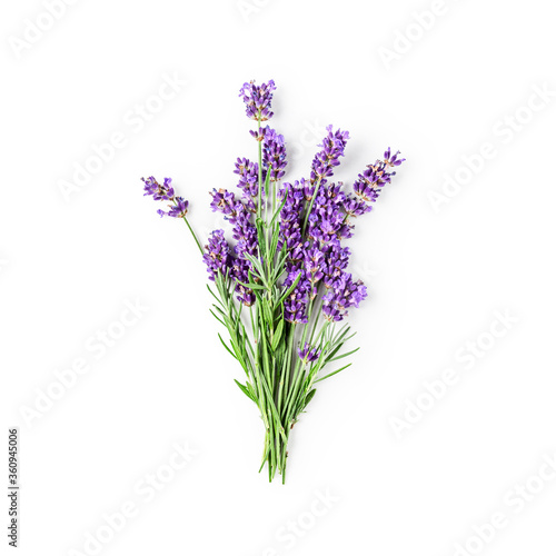 Lavender flowers and leaves bunch isolated