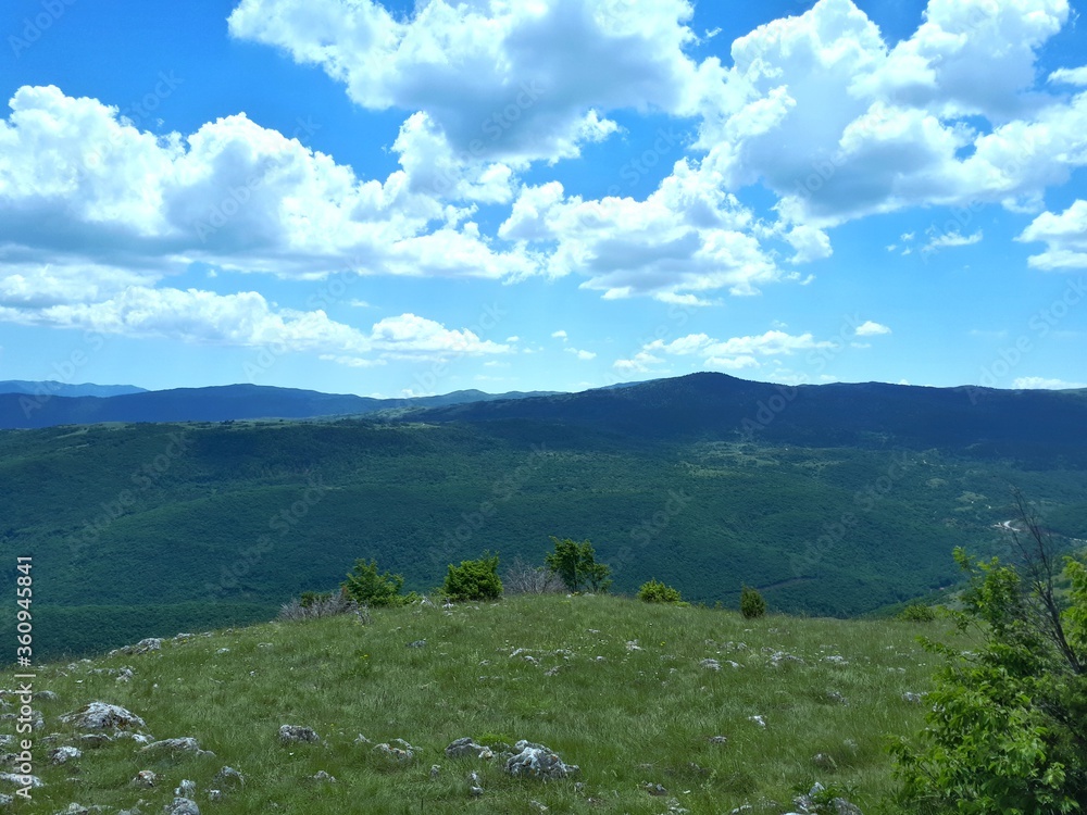 Fototapeta premium Mountain landscape with pine forest and clouds