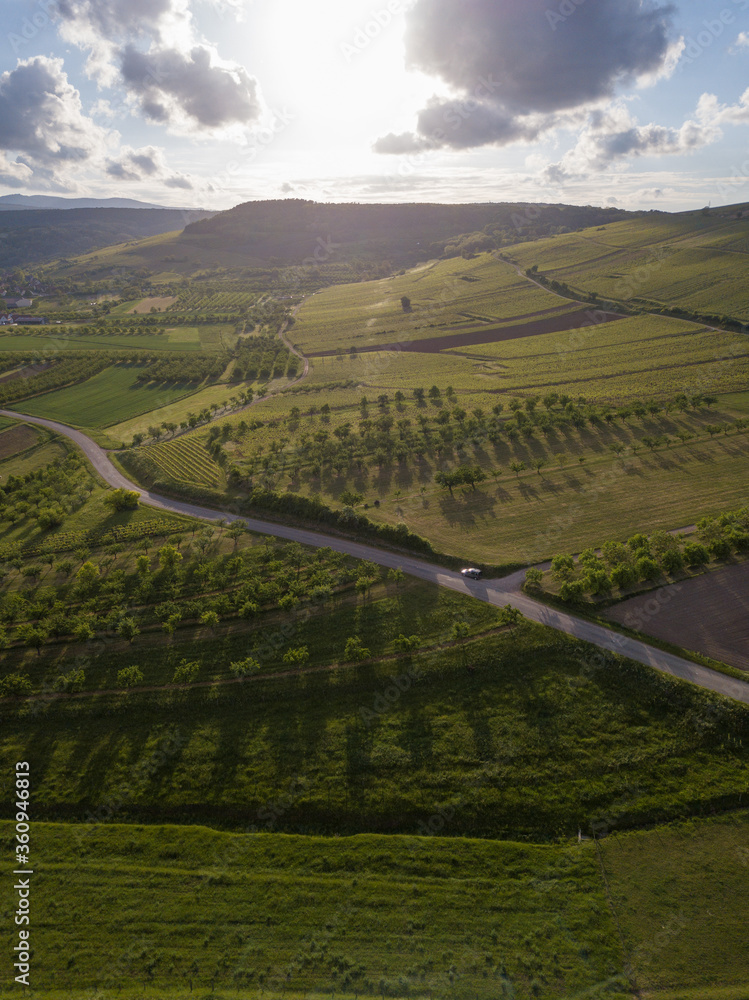 Route des vins d'Alsace, drone