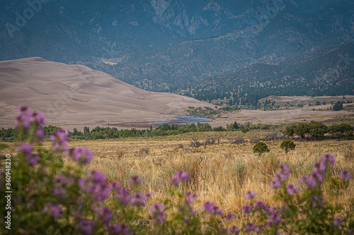 Sand Dunes National Park in spring