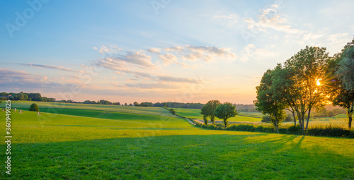 Obraz na płótnie Grassy fields and trees with lush green foliage in green rolling hills below a b