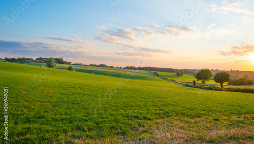 Stampa su tela Grassy fields and trees with lush green foliage in green rolling hills below a b