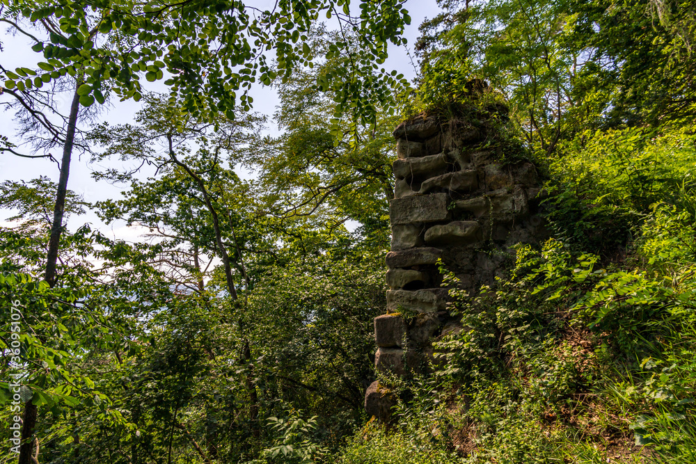 Fototapeta premium Fantastic hike near Sipplingen on Lake Constance