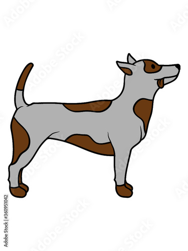 Braver kleiner Hund lieb 