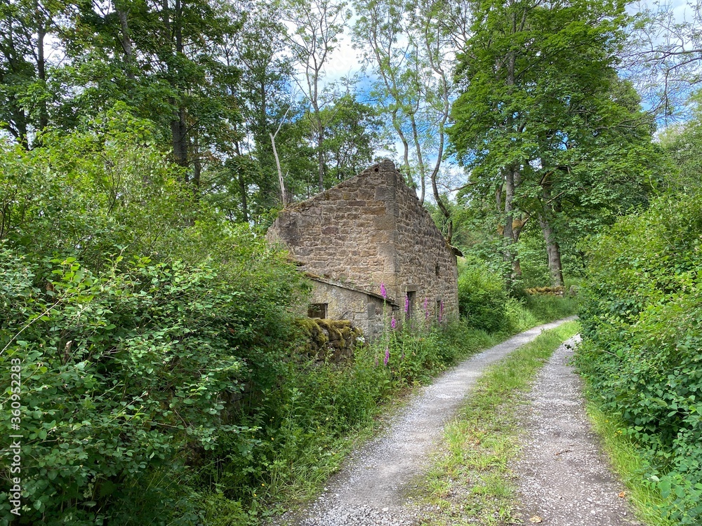 Derelict farmhouse, next to a cart track, surrounded by trees and plants near, Rylstone, Skipton, UK Derelict farmhouse, next to a cart track, surrounded by trees and plants near, Rylstone, Skipton, UK