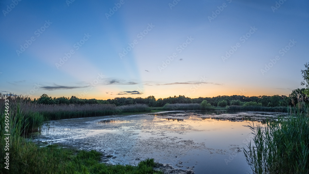 Fototapeta premium Pond Dusk Panorama