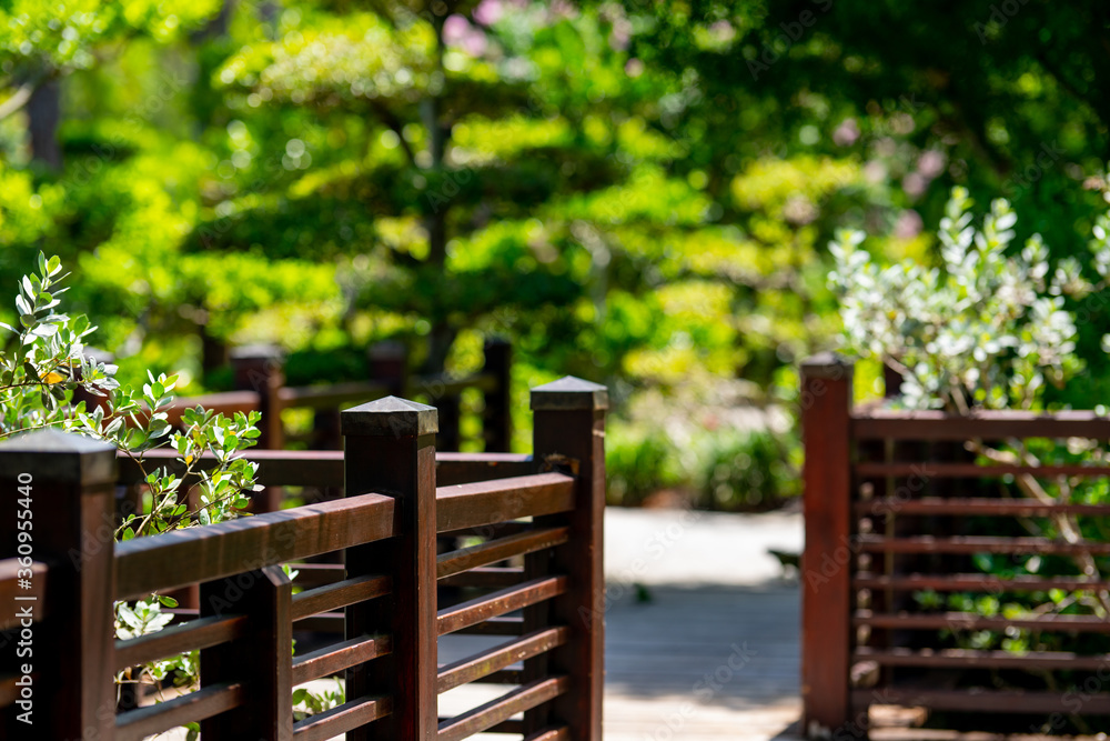 Fototapeta premium Nature path with wooden fence