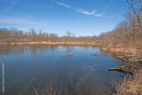 Quiet pond in a Nature Preserve