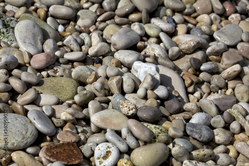 Sea pebbles with colorful small stones for desktop texture