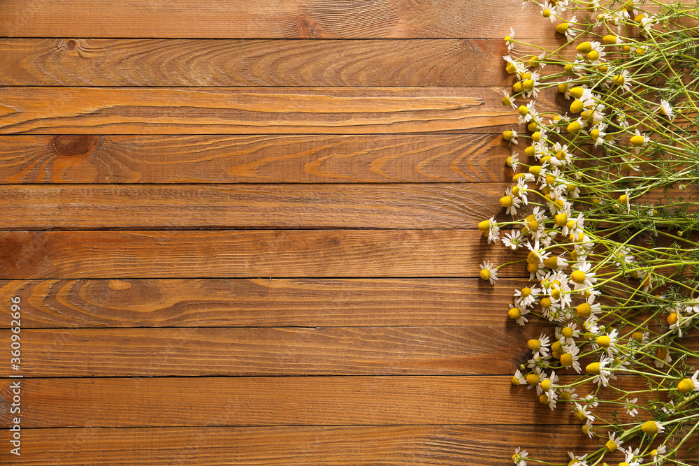 Fototapeta premium Fresh chamomile flowers on wooden background